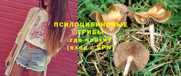 индика Балабаново