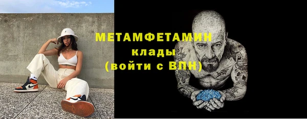 индика Балабаново