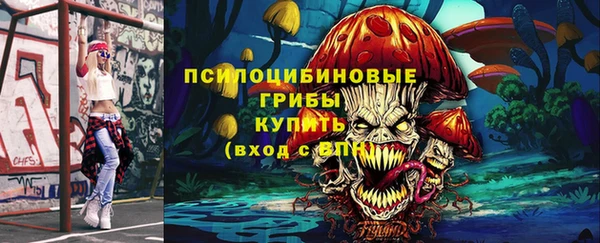 индика Балабаново