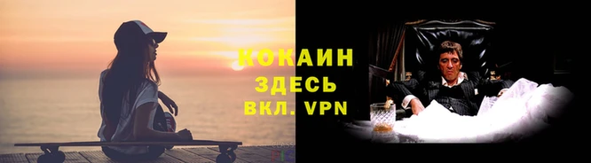 индика Балабаново
