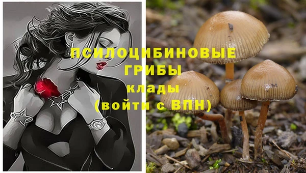 гашиш Балахна