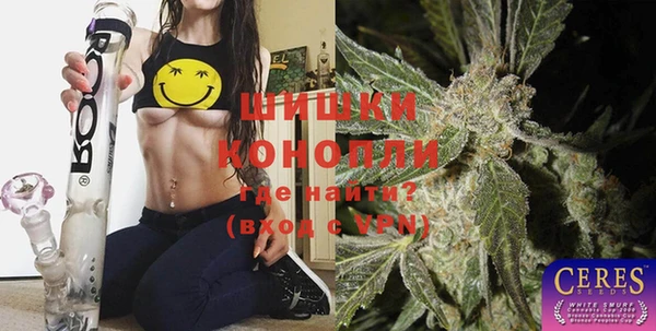 шишки Белоозёрский