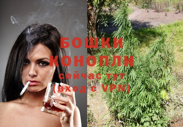 индика Балабаново