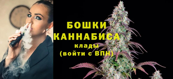 индика Балабаново