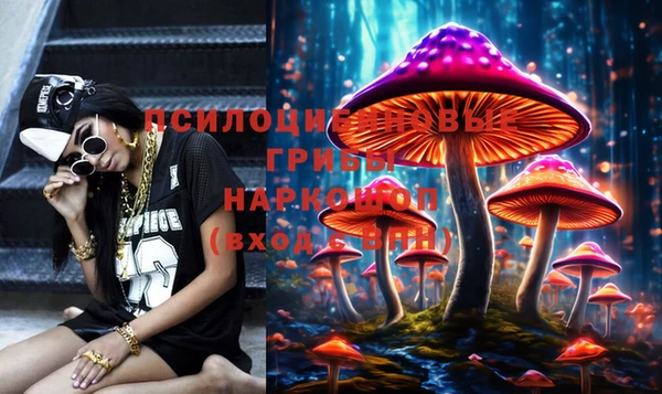 шишки Белоозёрский